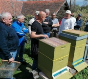 Bienenzuchtverein W1_1